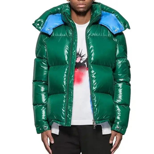 Vêtements de mode décontractés pour hommes, vestes matelassées, matériau hautement durable, manches longues, capuche, veste matelassée brillante - Product Image 1