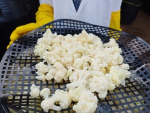 Fresh Cauliflower Florets Organic Raw Vegetables Natural Healthy Snack Food Ready to Eat Whole Pieces - Product Image 4