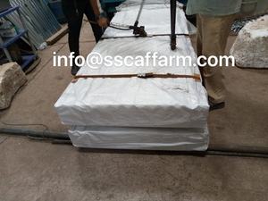 Tôles d'acier ondulées galvanisées de conception moderne de 33 pouces échafaudages pour les jambes de pont Girtz - Product Image 6