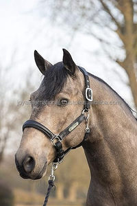 Los Mejores Cabestros de Cuero Genuino de Primera Calidad con Diseño Personalizado, Cabestros de Exhibición de Cuero Premium de la India, Portátiles - Product Image 5