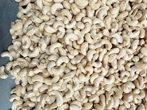 Vietnam Organic Roasted Cashew <b>Nuts</b> <b>Kernels</b> ISO Certified Vacuum Packed Good Quality Wholesale Export Phalco Brand Grade 2 Year - Product Image 1