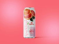 Eau gazeuse faible en gras 100% jus de fruits 330ml saveur fruitée pour l'été – Vente en gros OEM ODM