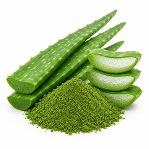 Proveedor de Extracto de Hoja de Aloe Vera en Polvo de Alta Pureza, Extracto Herbal para Nutracéuticos y Cuidado Personal, Fabricante OEM - Product Image 2