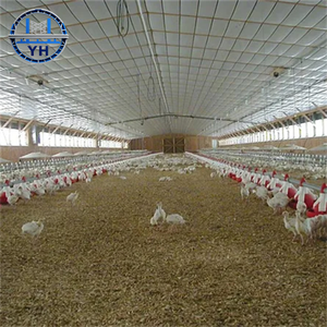 Poulailler, abri pour vaches, bergerie, hangar avicole préfabriqué en structure acier, résistant au vent et aux tremblements <span class=keywords><strong>de</strong></span> terre, à <span class=keywords><strong>prix</strong></span> bas - Product Image 4