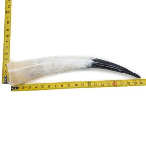 Cuerno Vikingo Hecho a Mano de Cuerno de Búfalo Duradero, Ecológico, Clásico, para Beber Cerveza, Decoración para el Hogar, Hotel, Restaurante, Regalo Empresarial - Product Image 3