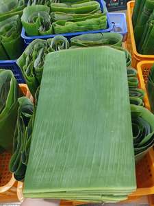 Feuilles de bananier fraîches de qualité supérieure, feuilles vertes naturelles, fournisseur en gros du Vietnam pour l'emballage alimentaire et la restauration - Product Image 5