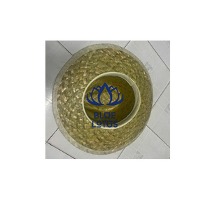 Sombrero Mexicano Ecológico, Seguro y Limpio, Aprobado por Clientes, Ideal para Viajes a la Playa y Fiestas Temáticas, Precio Accesible - Product Image 1