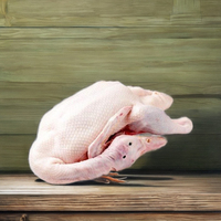 Canard entier surgelé frais, idéal pour la mijotée, le braisage et la friture