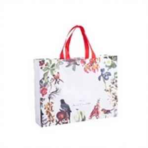 Bolsas de Compras Reutilizables de Tamaño Mediano con Diseño de Dibujos Animados, Bolsa de Mano Ligera y Duradera para Compras, Regalos y Empaque - Product Image 1