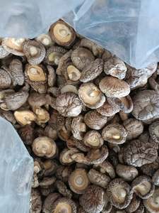 เห็ดหอมแห้งคุณภาพสูง - เห็ดดำหนาจากภูเขาตะวันตกเฉียงเหนือ - Product Image 4