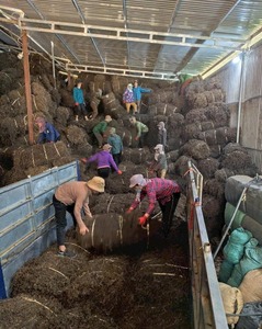 Gelée de Herbe Séchée Naturelle VietDelta pour Desserts, Soupes Sucrées, Rafraîchissante, Riche en Fibres, Faible en Calories, Export en Gros - Product Image 6