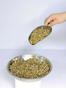 Café Verde Robusta Vietnamita DHPONE Grado AA, Color Natural, Sabor Neutro, Sin Alérgenos, Empaque en Bolsa de 60 kg, Entero - Product Image 5