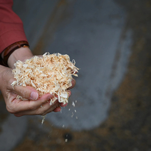 Virutas de madera para caballos / Virutas de madera de pino - Product Image 6