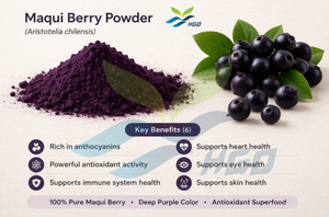 Suministro Directo de Fábrica HGO de Polvo de Baya de Maqui Puro y Natural (Grado Alimenticio) Especificaciones Polvo de Fruta (Polvo de Fruta Liofilizada) - Product Image 5