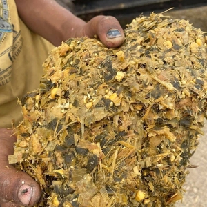 Silage de maïs de qualité supérieure pour l'élevage laitier, silage de maïs jaune pour l'alimentation des bovins, fournisseurs et producteurs d'élevage - Product Image 4