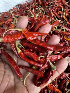 Chiles Rojos Secos de Alta Calidad Dev Namo, Forma Alargada, Especias Naturales Picantes, 500g, Larga Vida Útil, India - Product Image 4