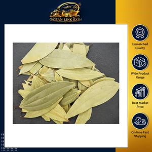 Feuilles de Laurier Entières de Haute Qualité pour la Fabrication Culinaire et la Vente au Détail - Product Image 2