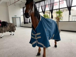 Couverture équestre de haute qualité pour chevaux, fabriquée par le fabricant, pour la course, hiver, été, en tissu polaire, avec options de rembourrage en coton. - Product Image 6