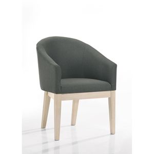 Ensemble de 2 chaises d'appoint en tissu gris de 23 po de la marque Neroli pour salon - Product Image 2