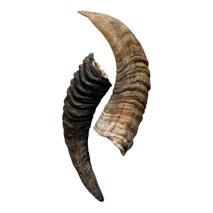 Alimento Masticable Artesanal para Perros, Cuerno de Búfalo Genuino Indio de la Mejor Calidad, Envío a Todo el Mundo - Product Image 5