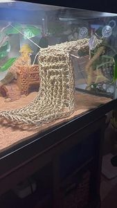 MEILLEUR PRIX Hamac en fibre naturelle de lotus bleu 2025 pour la relaxation des reptiles et une installation facile du terrarium - Product Image 4