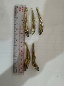 Anchoas Secas al por Mayor de Primera Calidad para Exportación - Product Image 3