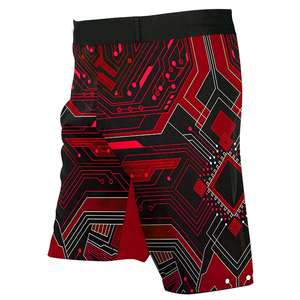 Shorts de MMA, Muay Thai, Boxe, Taekwondo, Jiu-jitsu, confortables, imprimés, prix de gros, OEM personnalisé - Product Image 5
