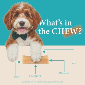 Snacks de Queso de Yak del Himalaya para Perros y Gatos, Sabores Totalmente Naturales, Altos en Proteínas, Sin Gluten, Premios Saludables que Favorecen la Salud Dental, Aptos para Todas las Razas - Product Image 3