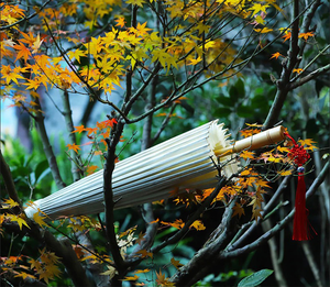 Parapluie chinois de décoration de mariage, pampilles en soie, Parasol, parapluie romantique en fleur de cerisier, en STOCK - Product Image 6