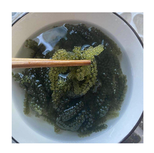 Vente en gros de raisins de mer biologiques déshydratés sous marque privée, caviar vert pour les marques de fitness et de bien-être - Product Image 1