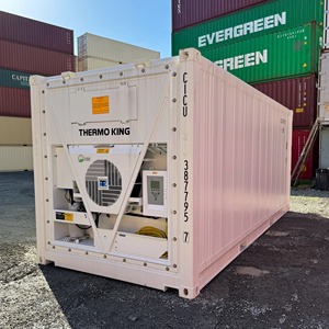 Logística confiable de carga congelada utilizando contenedores refrigerados para almacenamiento global de alimentos con control de temperatura en el marco de exportación. - Product Image 5
