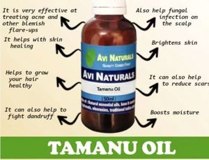 Aceite Esencial de Tamanu de Alta Pureza, Extraído de Semillas de Tamanu del Sur de la India, Proveedores Mayoristas que Ofrecen Precio Económico - Product Image 4