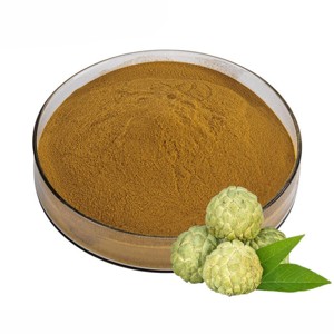 Extracto de Fruta de Noni al por Mayor 10:1 en Polvo, Grado Alimenticio, Extracto Puro de Morinda Citrifolia para Jugos, Bebidas y Smoothies - Product Image 1