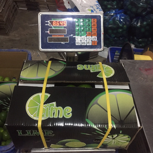 Citron vert frais du Vietnam sans pépins Meilleur prix - Directement de l'usine Melina - Product Image 6