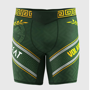 Shorts de grappling MMA UFC pour hommes, en polyester, respirants, légers, à séchage rapide, écologiques, avec sublimation, taille élastique, style streetwear - Product Image 1