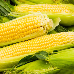 Alimentation en céréales naturelles déshydratées : Maïs glutineux séché à l'air, en grains sucrés, avec emballage d'exportation pour importateurs en gros - Product Image 5