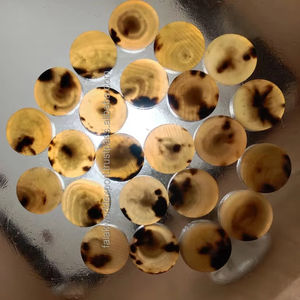 Buffalo Horn Blank <b>Button</b> for <b>Button</b> Buffalo Cow Horn High Quality Indian Horn Botton 100% natural and best quality By FWE - Product Image 1