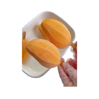Lage Prijs Premium Kwaliteit Heerlijke Best Verkopende Bevroren Mango Op Een Stok 100G