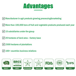 Frijoles Horneados en Salsa de Tomate de 400g en Lata - Product Image 6