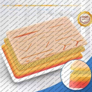 Kit de Sutura Quirúrgica Básico Profesional, Kit de Práctica de Sutura Médica, Kit de Práctica de Sutura de Acero Inoxidable Alemán - Product Image 2