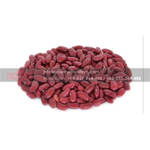 High Quality Red <b>Bean</b> From Vietnam Has a Good Nutritional Balance From Vietnam/ Customized Packing - Product Image 2