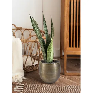 Florero Moderno de Metal para Apartamento, Villa, Oficina y Soluciones de Decoración para Hostelería, Florero Decorativo de Metal Moderno Premium - Product Image 4