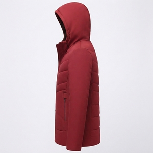 Ventes chaudes : veste d'hiver décontractée pour homme avec fermeture éclair, logo personnalisé imprimé, style streetwear, veste matelassée - Product Image 2