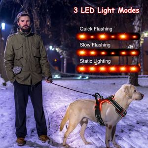Rechargeable LED <b>Light</b>-Up Dog Harness No <b>Pull</b> Vest with <b>Handle</b> for Small Medium Large Dogs - Product Image 4