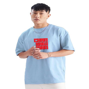 เสื้อยืดชายทรงปกติสีฟ้าอ่อนพิมพ์ลายตัวอักษรสไตล์สตรีทแวร์แขนสั้นคอกลมผ้าฝ้ายผสมโพลีเอสเตอร์/ผ้าฝ้าย ตราเฉาไซแมน - Product Image 2