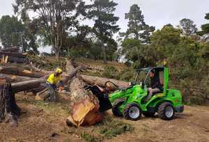 Mini-chargeur articulé Avant 745 ArborPro avec grappin à bois, alimenté par un moteur et une boîte de vitesses Yanmar - Product Image 3