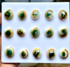 Pierres précieuses naturelles œil-de-chat vertes en opercule de coquillage, taillées rondes brillantes, polies, tailles 5 mm pour la fabrication de bijoux - Product Image 3