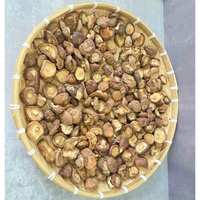 Groothandel Gedroogde Gevulde Gemengde Fruitchips FD Proces 100% Natuurlijk Gezonde Snack Bulk Leverancier Vietnam Oorsprong IIglobal Merk
