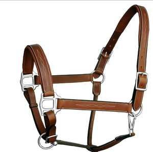 High Quality Handmade Polo Leather Horse Halter English Saddle Style Show All-Purpose Use Customizable Brass Hardware Customized - Product Image 5