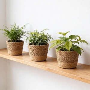 Ensemble de 3 jardinières en rotin tressé à la main pour plantes d'intérieur et d'extérieur, magnifiques jardinières pour balcon et terrasse, vente en gros depuis l'Inde - Product Image 1